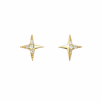 Shimmering Star Earrings