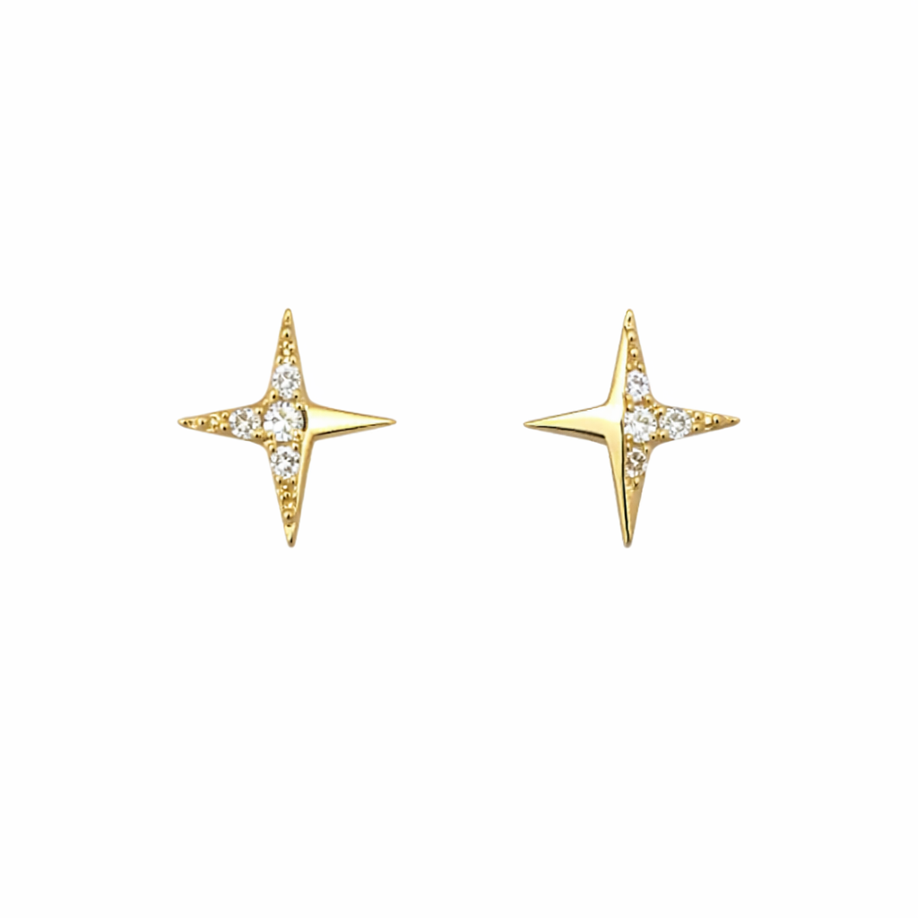 Shimmering Star Earrings